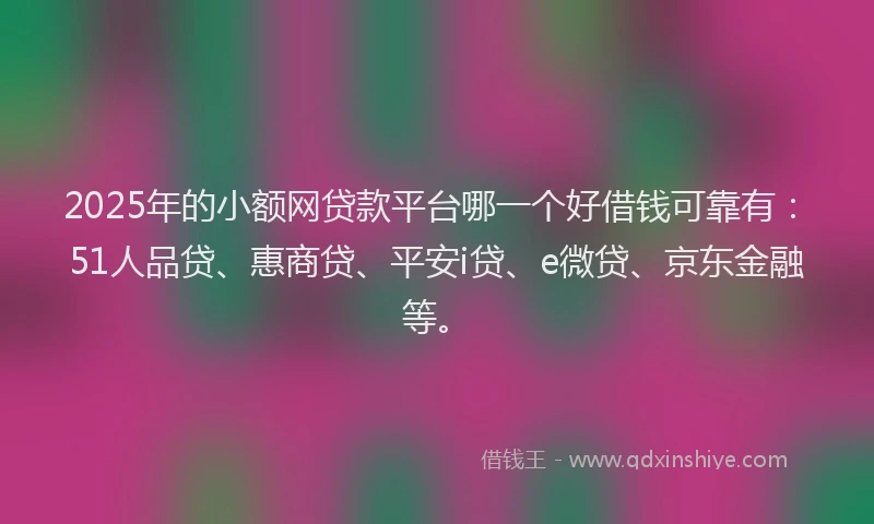 2025年的小额网贷款平台哪一个好借钱可靠有：51人品贷、惠商贷、平安i贷、e微贷、京东金融等。