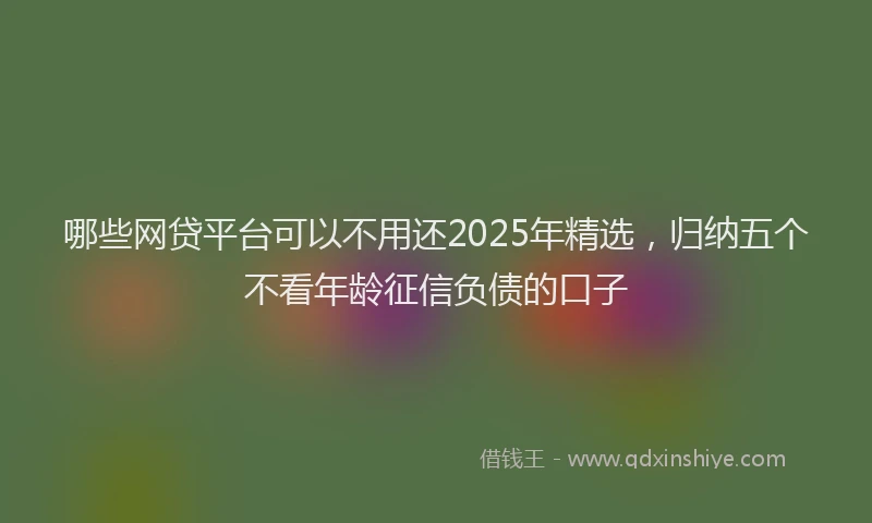 哪些网贷平台可以不用还2025年精选，归纳五个不看年龄征信负债的口子