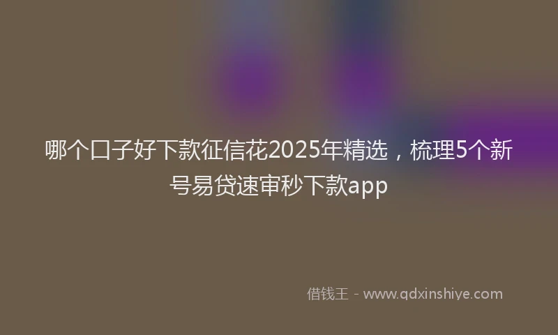 哪个口子好下款征信花2025年精选，梳理5个新号易贷速审秒下款app