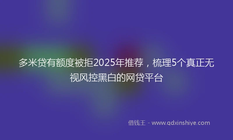 多米贷有额度被拒2025年推荐，梳理5个真正无视风控黑白的网贷平台