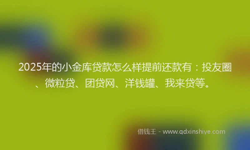 2025年的小金库贷款怎么样提前还款有：投友圈、微粒贷、团贷网、洋钱罐、我来贷等。