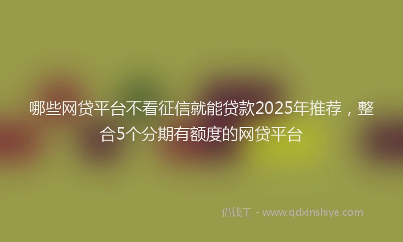 哪些网贷平台不看征信就能贷款2025年推荐，整合5个分期有额度的网贷平台