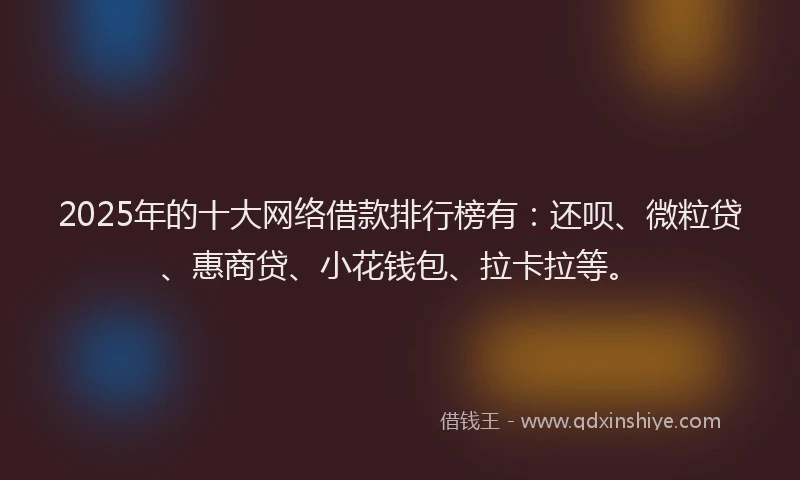 2025年的十大网络借款排行榜有：还呗、微粒贷、惠商贷、小花钱包、拉卡拉等。