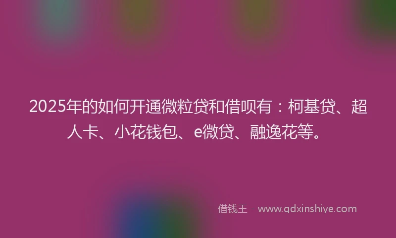 2025年的如何开通微粒贷和借呗有：柯基贷、超人卡、小花钱包、e微贷、融逸花等。