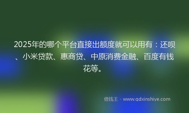 2025年的哪个平台直接出额度就可以用有：还呗、小米贷款、惠商贷、中原消费金融、百度有钱花等。