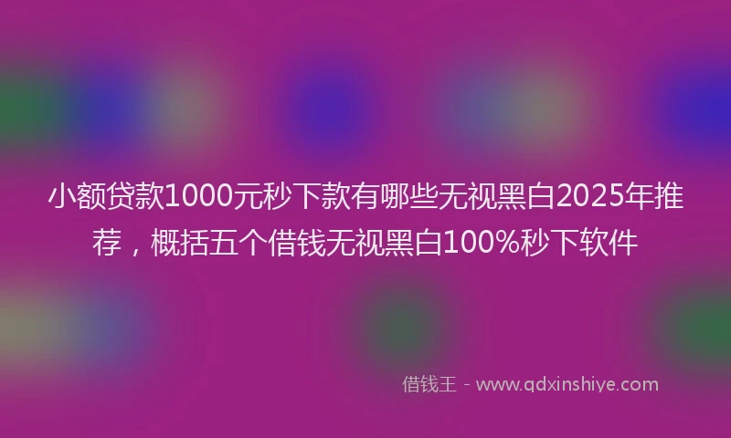 小额贷款1000元秒下款有哪些无视黑白2025年推荐，概括五个借钱无视黑白100%秒下软件