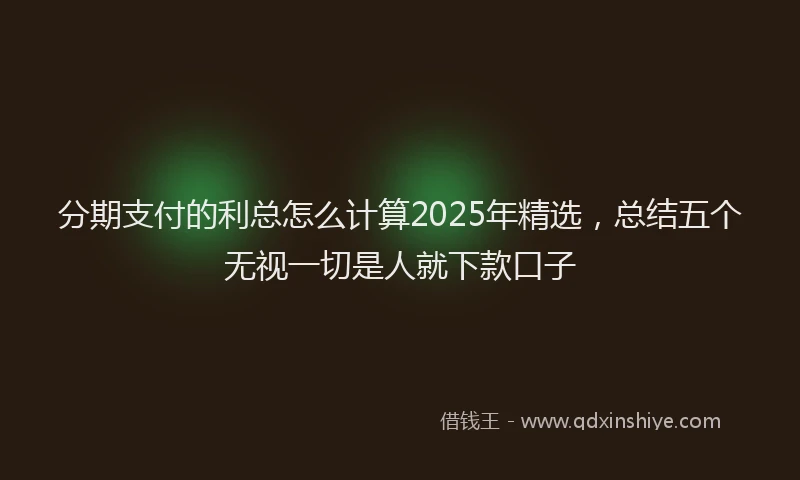 分期支付的利总怎么计算2025年精选，总结五个无视一切是人就下款口子