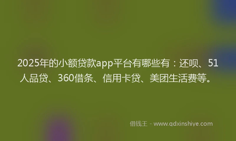 2025年的小额贷款app平台有哪些有：还呗、51人品贷、360借条、信用卡贷、美团生活费等。