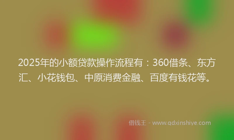 2025年的小额贷款操作流程有：360借条、东方汇、小花钱包、中原消费金融、百度有钱花等。