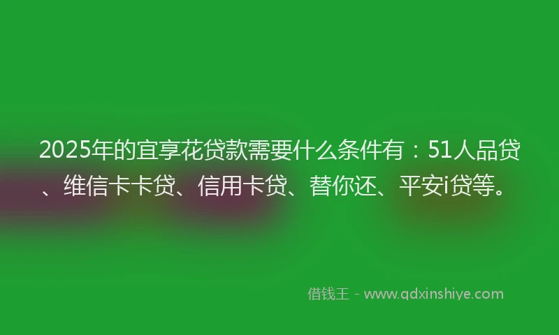 2025年的宜享花贷款需要什么条件有：51人品贷、维信卡卡贷、信用卡贷、替你还、平安i贷等。