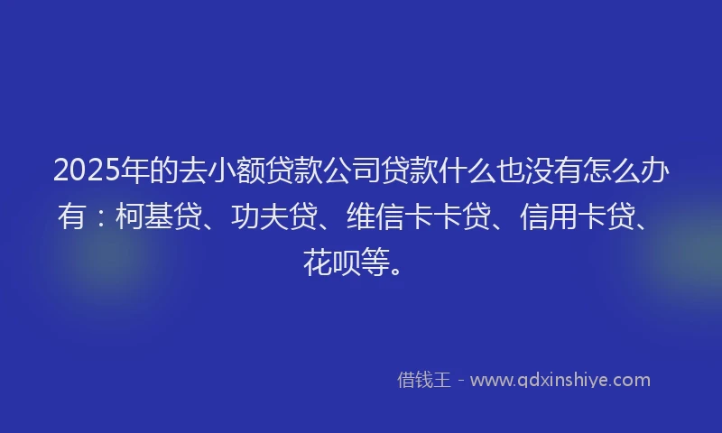 2025年的去小额贷款公司贷款什么也没有怎么办有：柯基贷、功夫贷、维信卡卡贷、信用卡贷、花呗等。