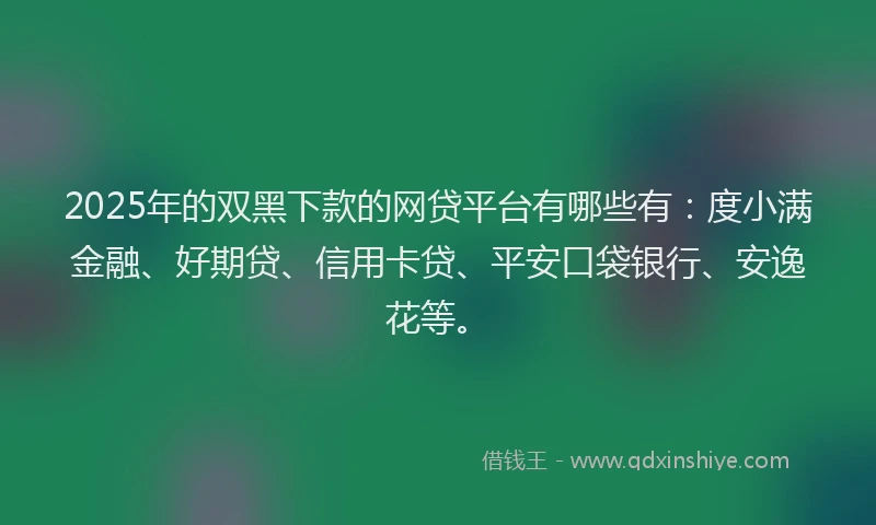 2025年的双黑下款的网贷平台有哪些有：度小满金融、好期贷、信用卡贷、平安口袋银行、安逸花等。