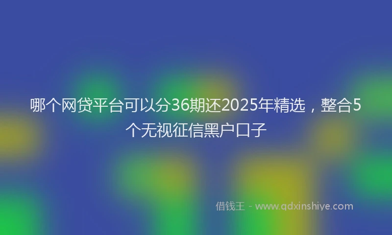 哪个网贷平台可以分36期还2025年精选，整合5个无视征信黑户口子