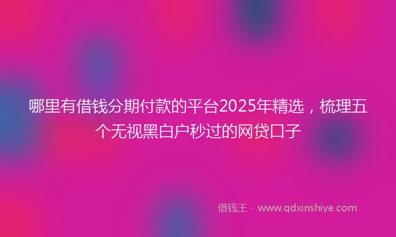 哪里有借钱分期付款的平台2025年精选，梳理五个无视黑白户秒过的网贷口子