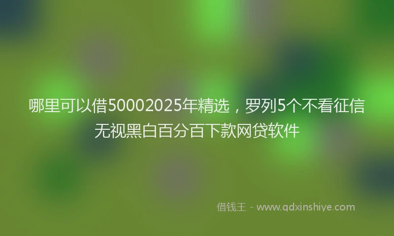 哪里可以借50002025年精选，罗列5个不看征信无视黑白百分百下款网贷软件