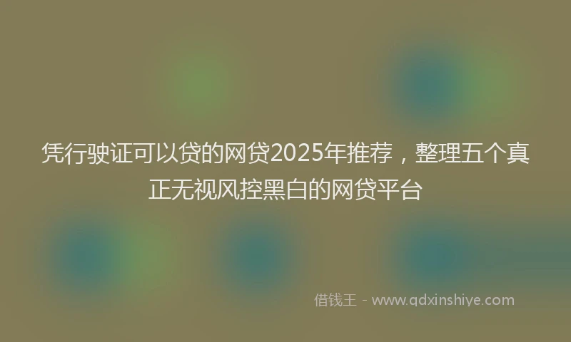 凭行驶证可以贷的网贷2025年推荐，整理五个真正无视风控黑白的网贷平台