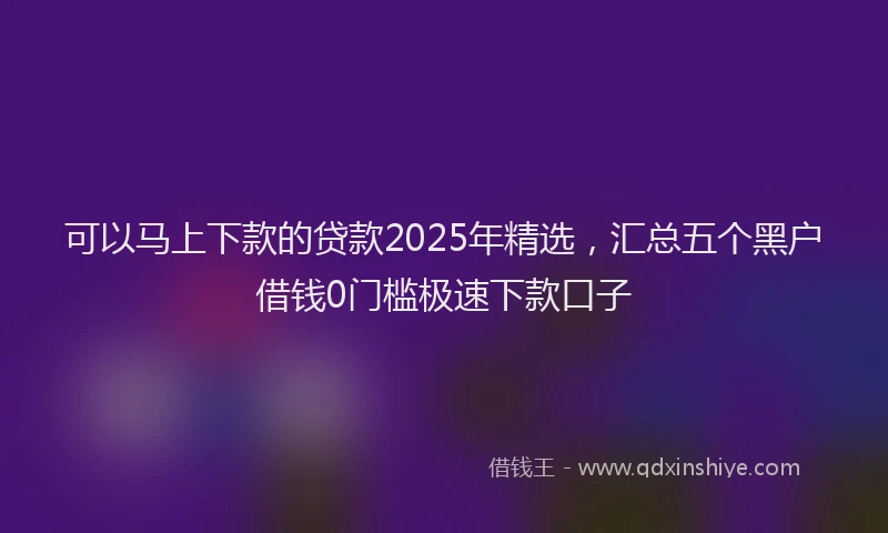 可以马上下款的贷款2025年精选，汇总五个黑户借钱0门槛极速下款口子