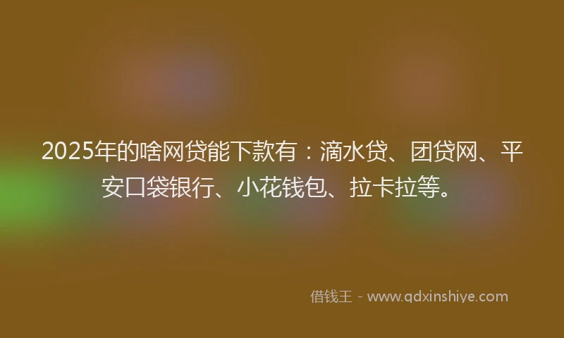 2025年的啥网贷能下款有：滴水贷、团贷网、平安口袋银行、小花钱包、拉卡拉等。