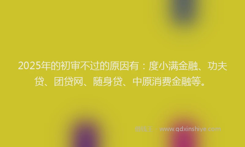 2025年的初审不过的原因有：度小满金融、功夫贷、团贷网、随身贷、中原消费金融等。
