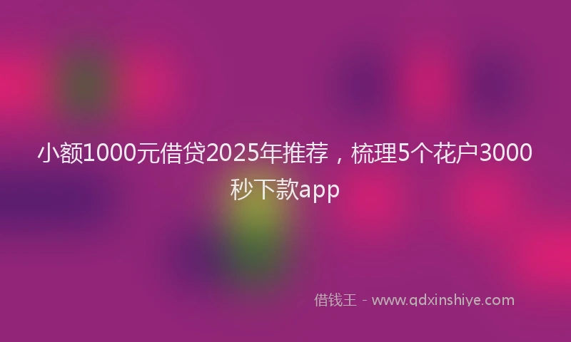 小额1000元借贷2025年推荐，梳理5个花户3000秒下款app