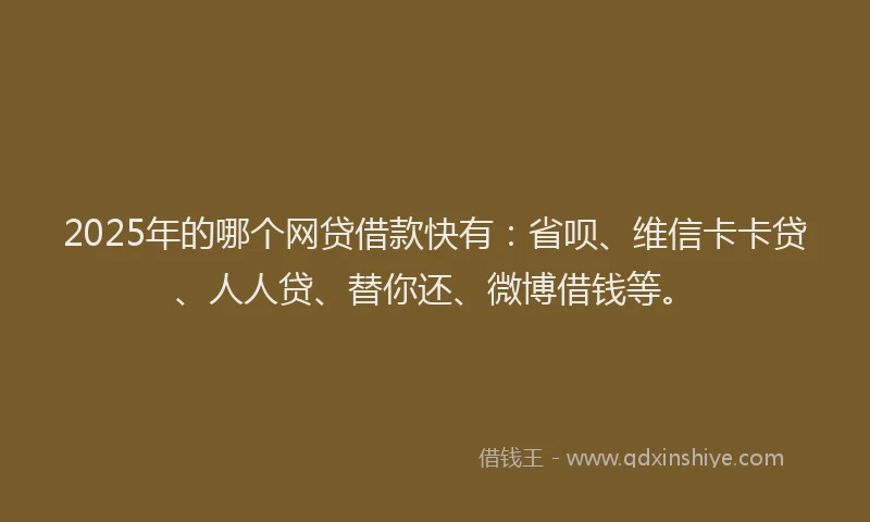 2025年的哪个网贷借款快有：省呗、维信卡卡贷、人人贷、替你还、微博借钱等。