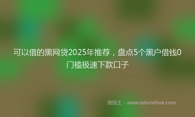可以借的黑网贷2025年推荐，盘点5个黑户借钱0门槛极速下款口子