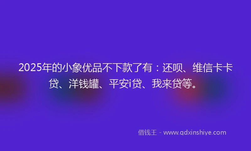 2025年的小象优品不下款了有：还呗、维信卡卡贷、洋钱罐、平安i贷、我来贷等。