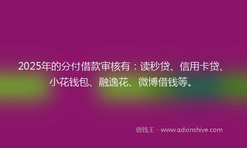2025年的分付借款审核有：读秒贷、信用卡贷、小花钱包、融逸花、微博借钱等。