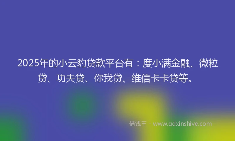 2025年的小云豹贷款平台有：度小满金融、微粒贷、功夫贷、你我贷、维信卡卡贷等。