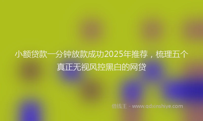 小额贷款一分钟放款成功2025年推荐，梳理五个真正无视风控黑白的网贷