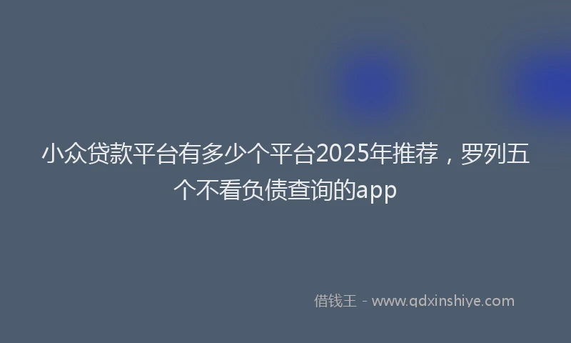 小众贷款平台有多少个平台2025年推荐，罗列五个不看负债查询的app