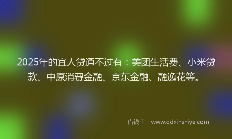 2025年的宜人贷通不过有：美团生活费、小米贷款、中原消费金融、京东金融、融逸花等。
