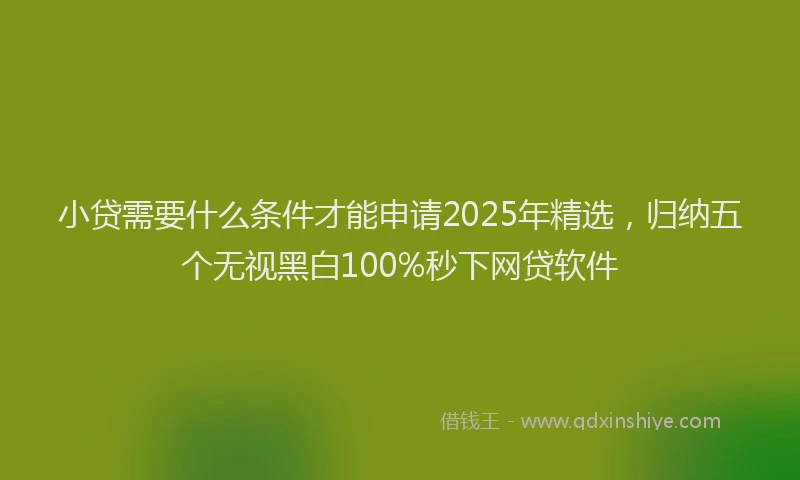 小贷需要什么条件才能申请2025年精选，归纳五个无视黑白100%秒下网贷软件