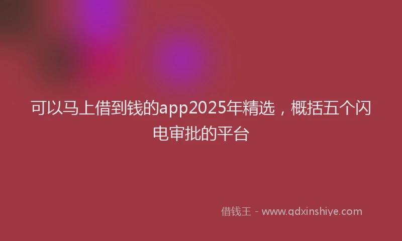 可以马上借到钱的app2025年精选，概括五个闪电审批的平台
