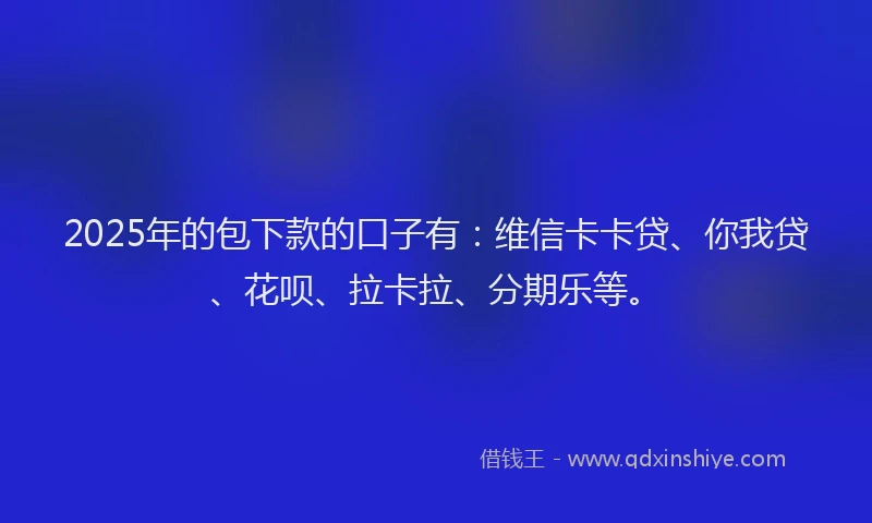 2025年的包下款的口子有：维信卡卡贷、你我贷、花呗、拉卡拉、分期乐等。