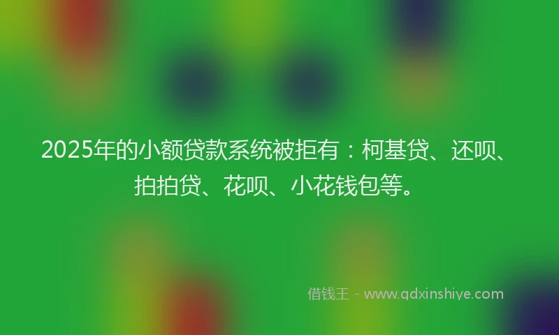 2025年的小额贷款系统被拒有：柯基贷、还呗、拍拍贷、花呗、小花钱包等。