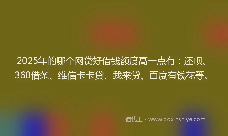 2025年的哪个网贷好借钱额度高一点有：还呗、360借条、维信卡卡贷、我来贷、百度有钱花等。