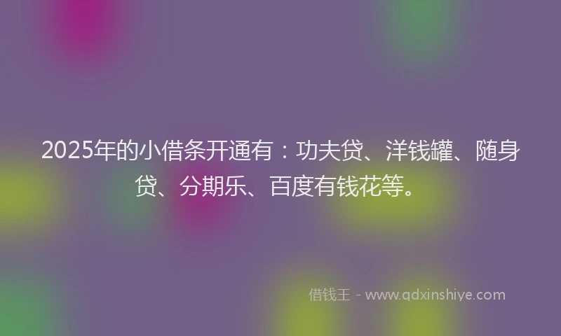 2025年的小借条开通有：功夫贷、洋钱罐、随身贷、分期乐、百度有钱花等。