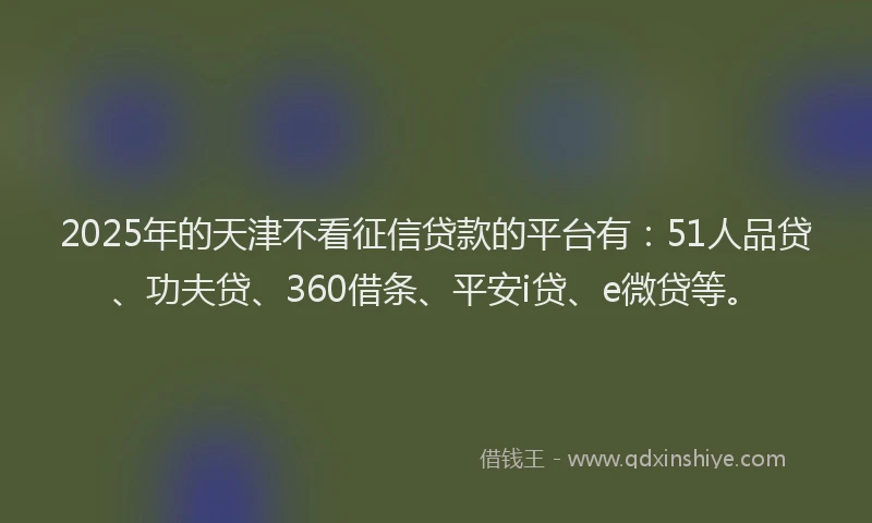 2025年的天津不看征信贷款的平台有：51人品贷、功夫贷、360借条、平安i贷、e微贷等。