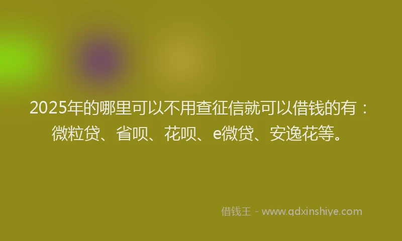 2025年的哪里可以不用查征信就可以借钱的有：微粒贷、省呗、花呗、e微贷、安逸花等。
