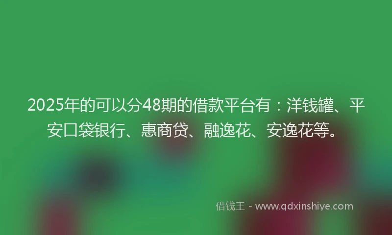 2025年的可以分48期的借款平台有：洋钱罐、平安口袋银行、惠商贷、融逸花、安逸花等。