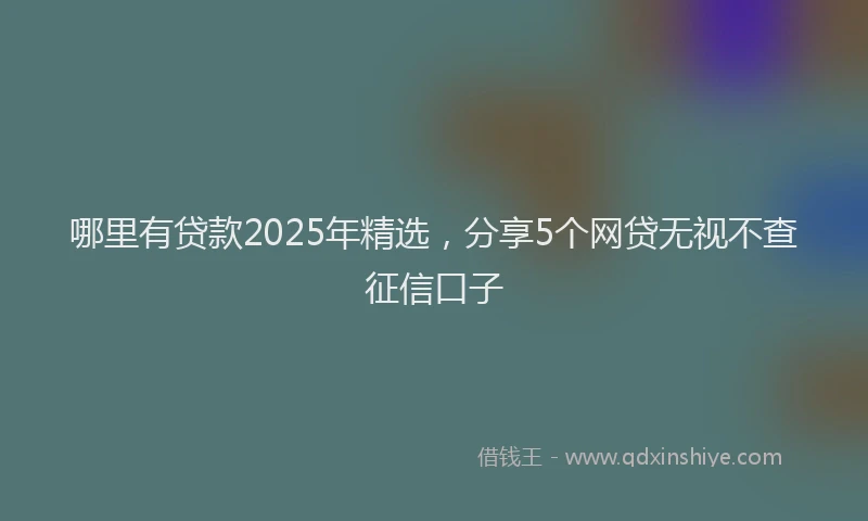哪里有贷款2025年精选，分享5个网贷无视不查征信口子