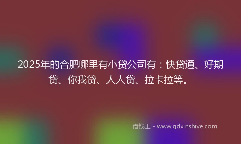 2025年的合肥哪里有小贷公司有：快贷通、好期贷、你我贷、人人贷、拉卡拉等。