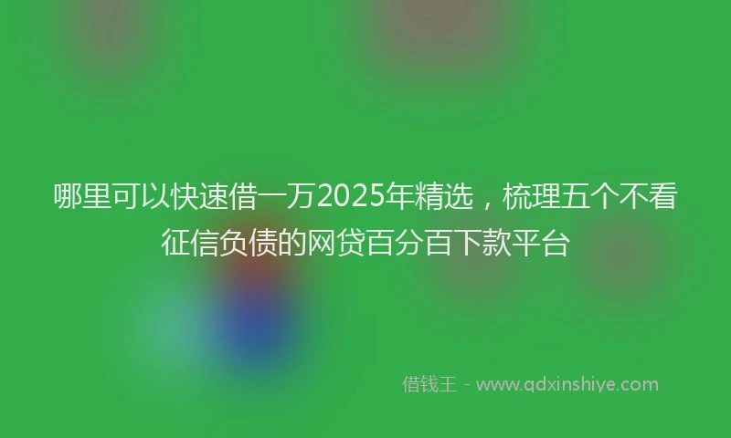哪里可以快速借一万2025年精选，梳理五个不看征信负债的网贷百分百下款平台