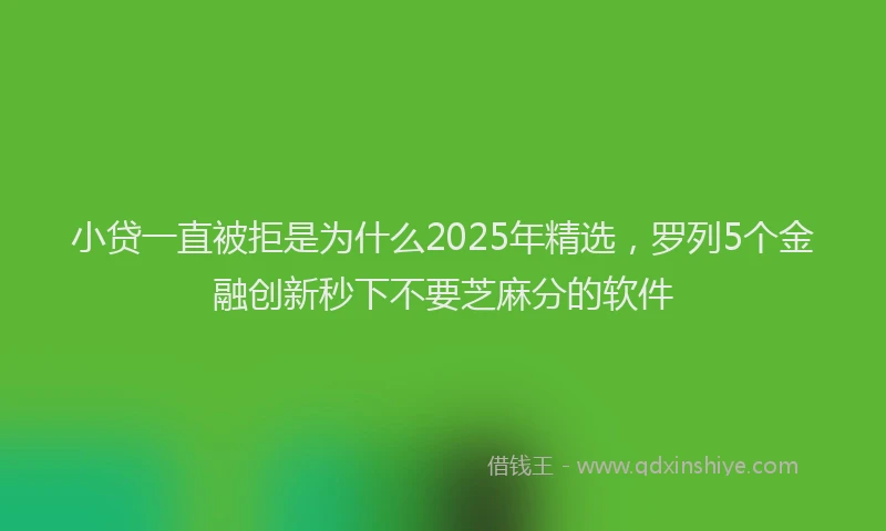 小贷一直被拒是为什么2025年精选，罗列5个金融创新秒下不要芝麻分的软件