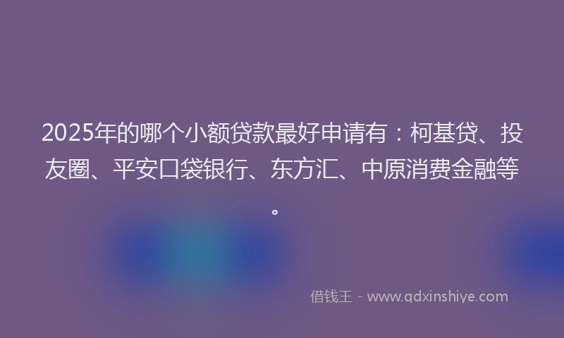 2025年的哪个小额贷款最好申请有：柯基贷、投友圈、平安口袋银行、东方汇、中原消费金融等。