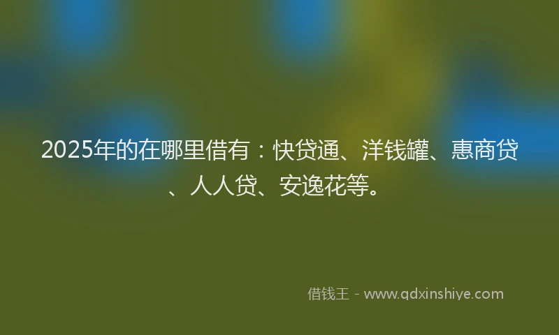2025年的在哪里借有：快贷通、洋钱罐、惠商贷、人人贷、安逸花等。