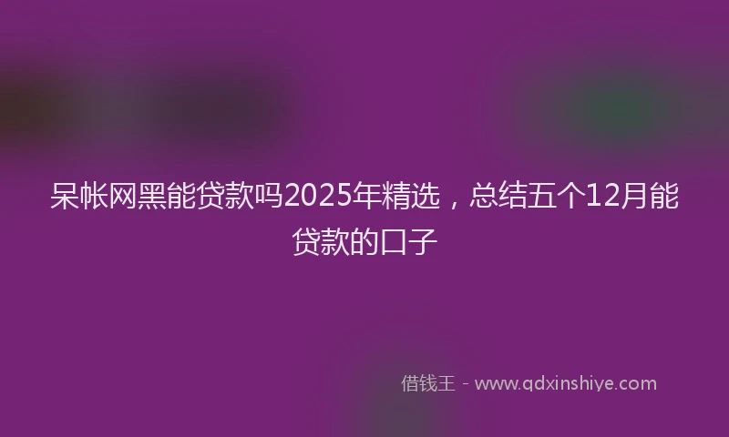 呆帐网黑能贷款吗2025年精选，总结五个12月能贷款的口子