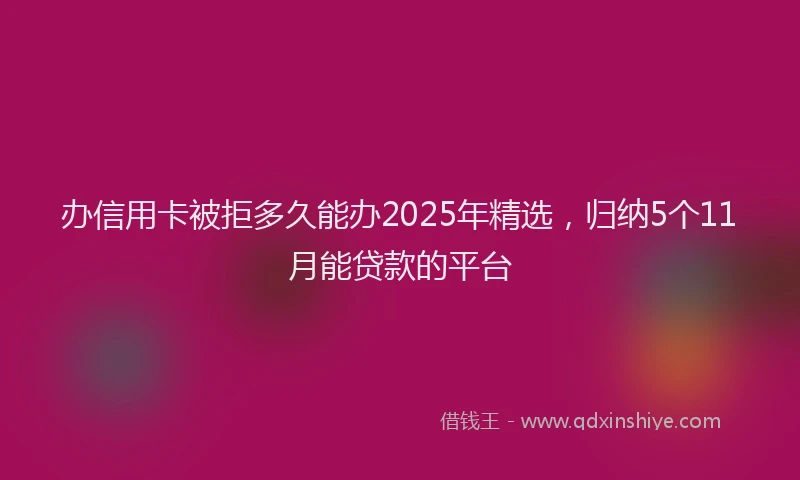 办信用卡被拒多久能办2025年精选，归纳5个11月能贷款的平台