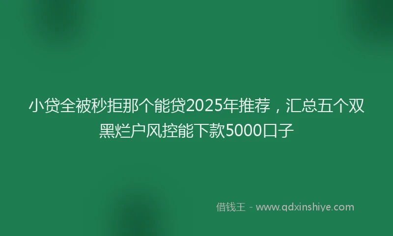 小贷全被秒拒那个能贷2025年推荐，汇总五个双黑烂户风控能下款5000口子